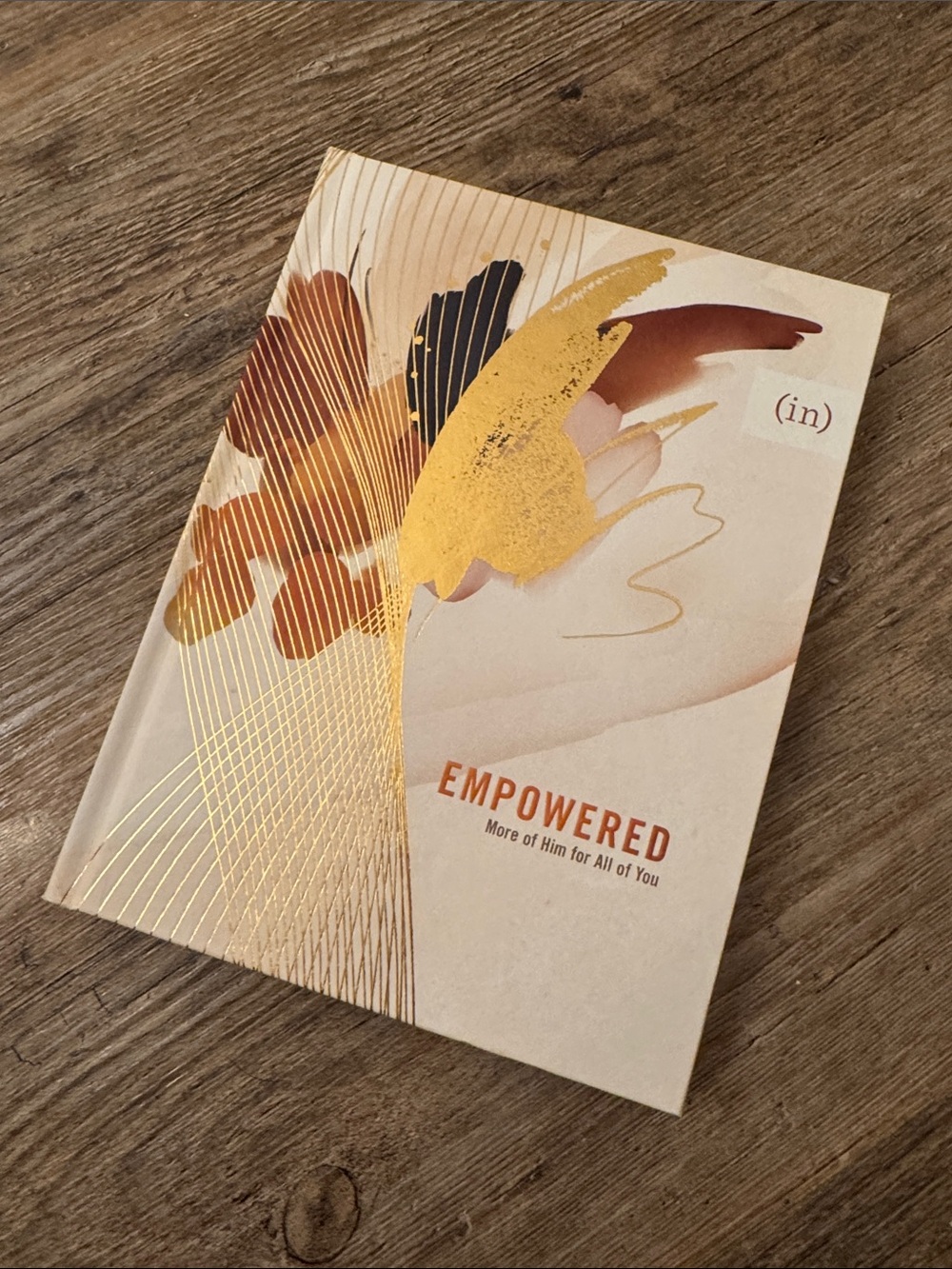 Empowered Hardcover Book By Mary Carver, Grace P Cho, and Anna E Rendell